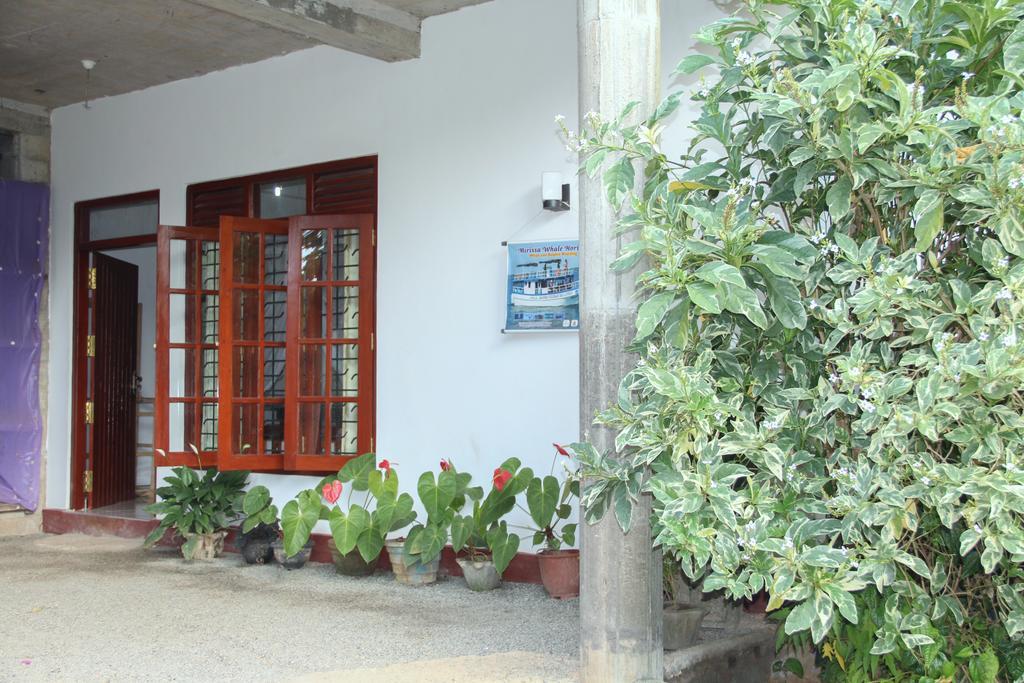Hotel Nethum Rest Mirissa Exteriér fotografie